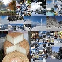 Camping des Gaves hébergement Gourette
