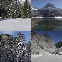 Camping des Gaves hébergement Gourette