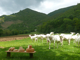 la ferme de la Hèche